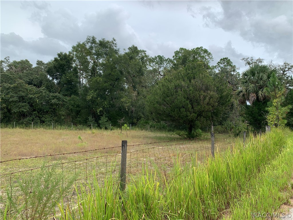 10425 E Moccasin Slough Road, Inverness, FL 34450