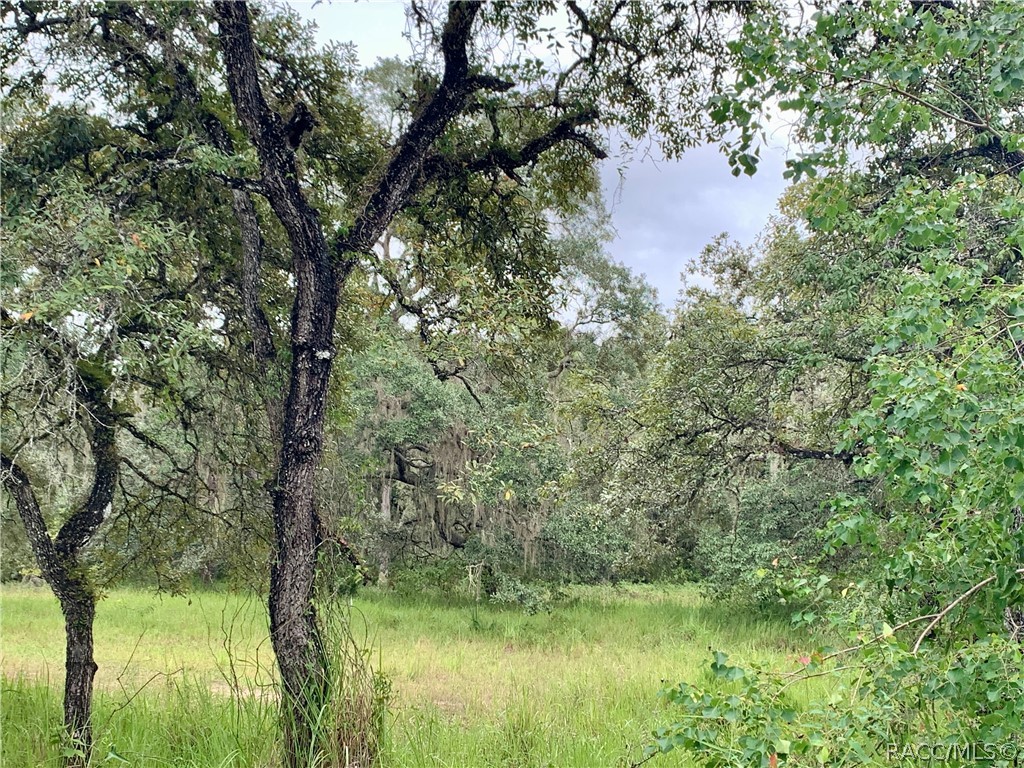 10425 E Moccasin Slough Road, Inverness, FL 34450