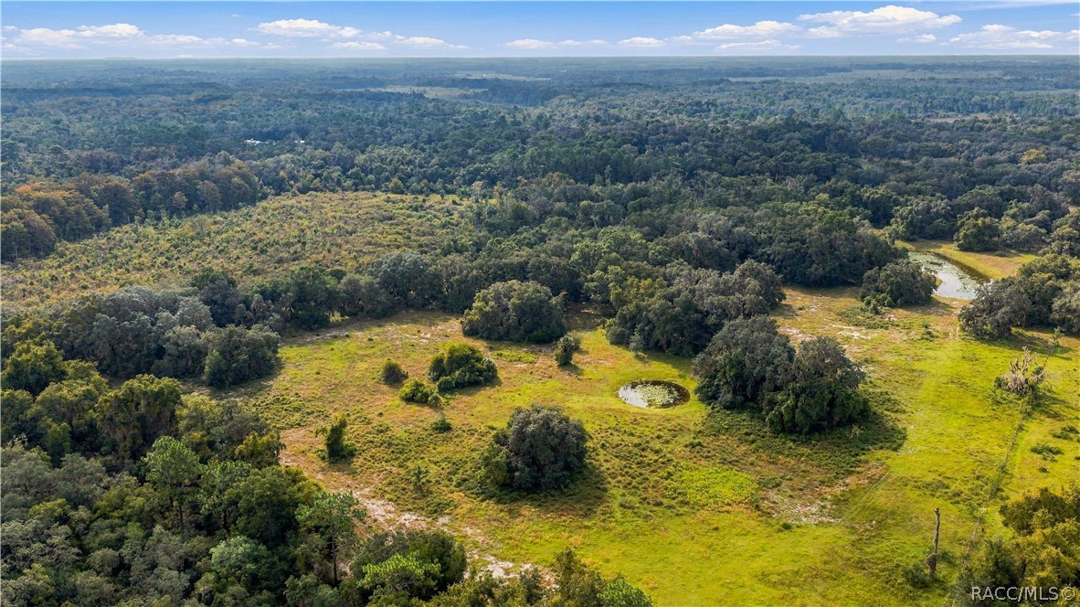 10425 E Moccasin Slough Road, Inverness, FL 34450