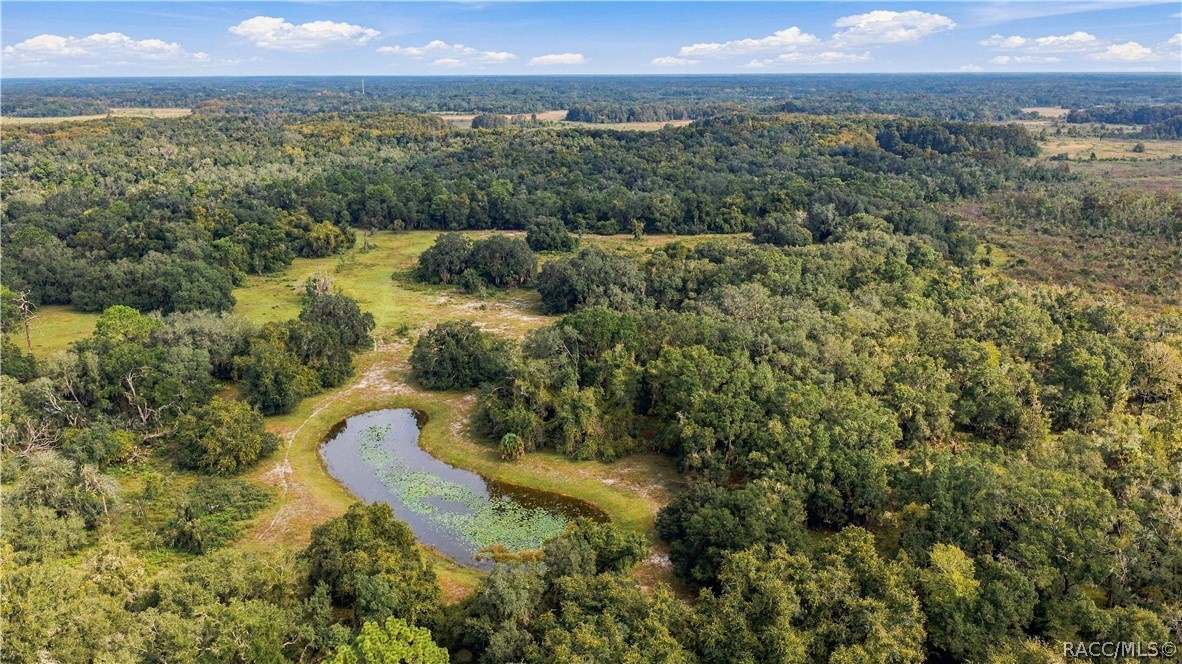 10425 E Moccasin Slough Road, Inverness, FL 34450