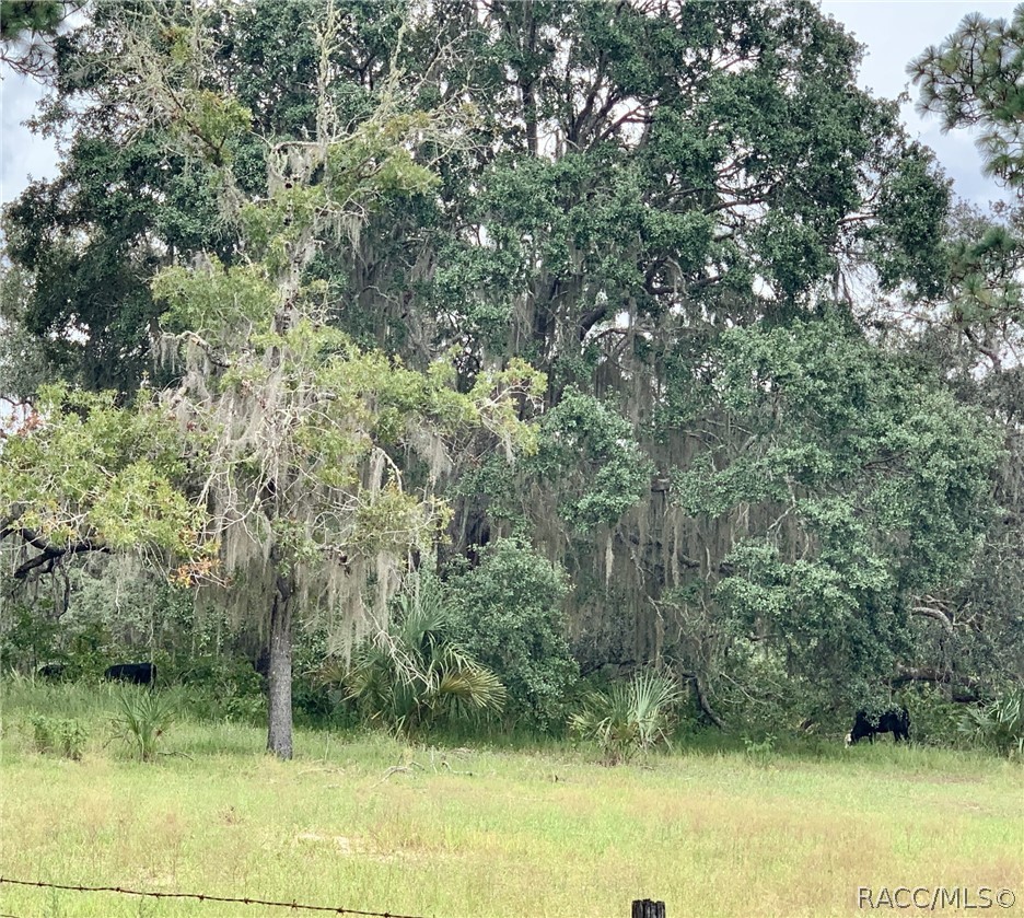 10425 E Moccasin Slough Road, Inverness, FL 34450