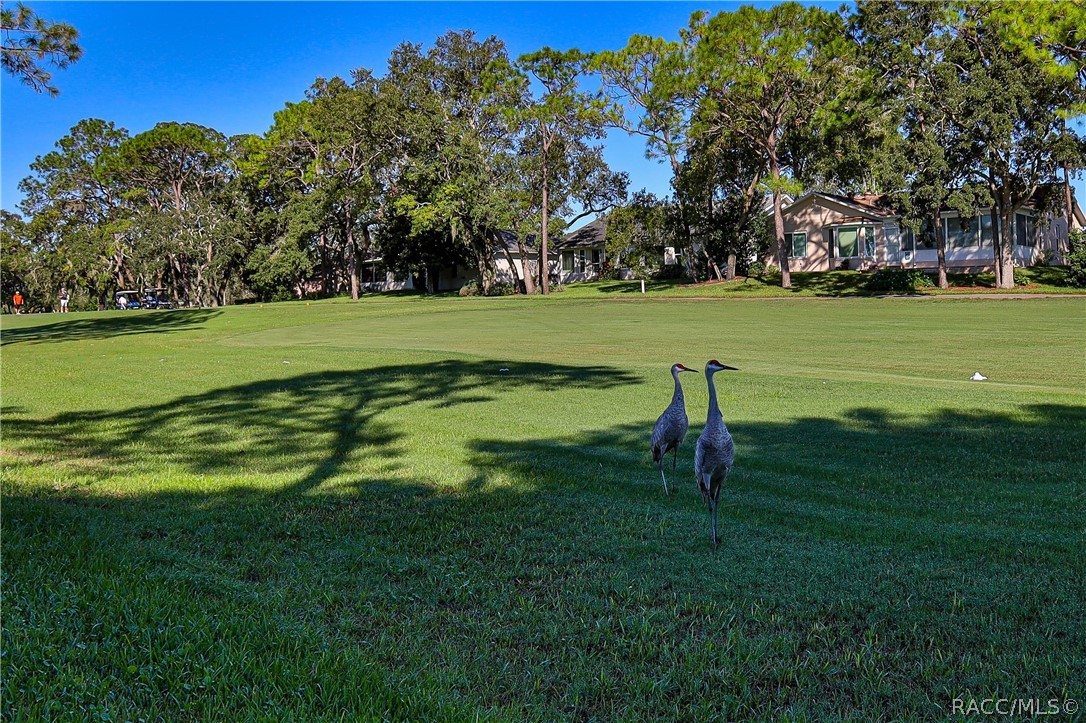 7103 Crown Oaks Drive, Spring Hill, FL 34606
