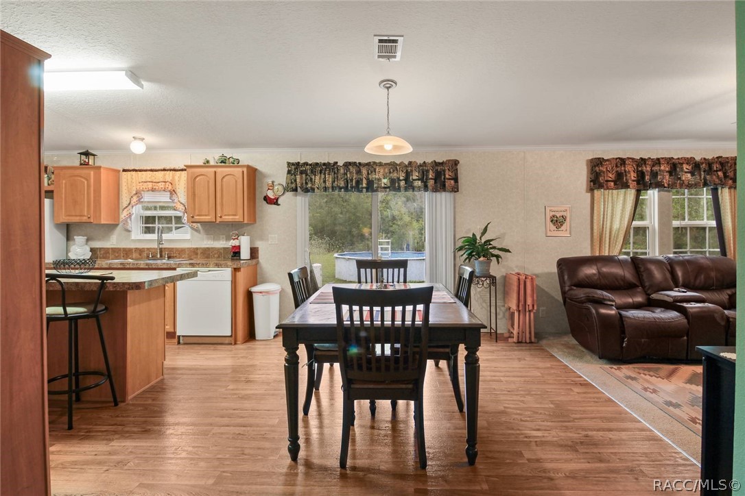 2061 E Mary Lue Street, Inverness, FL 34453