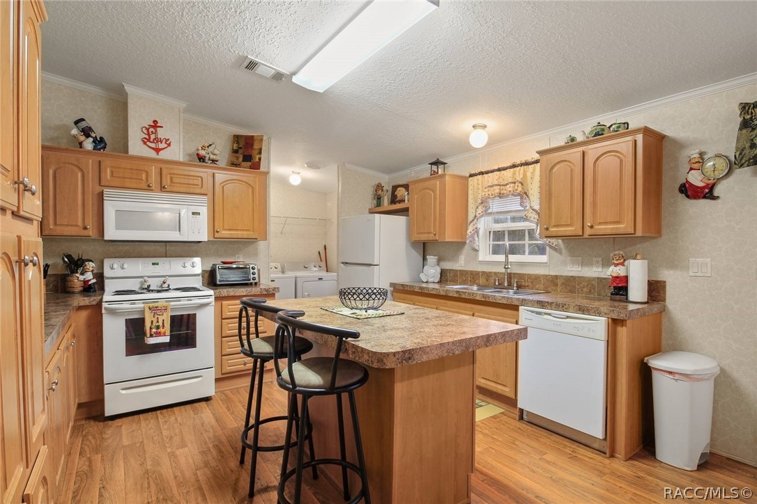 2061 E Mary Lue Street, Inverness, FL 34453