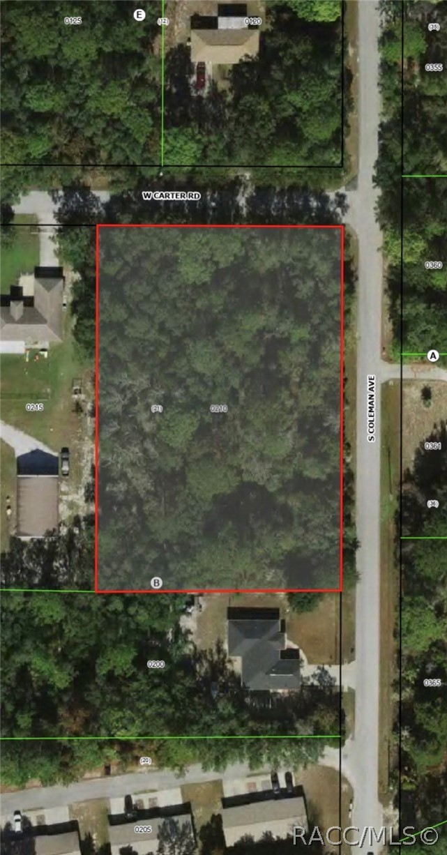 6100 W Carter Road, Homosassa, FL 34448
