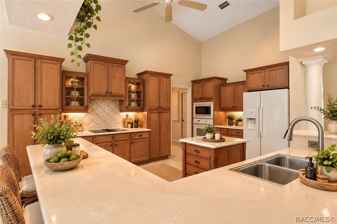 5839 N Carnation Drive, Beverly Hills, FL 34465
