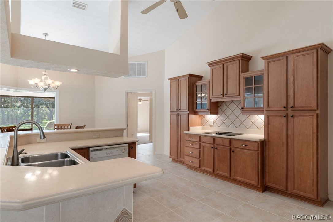 5839 N Carnation Drive, Beverly Hills, FL 34465