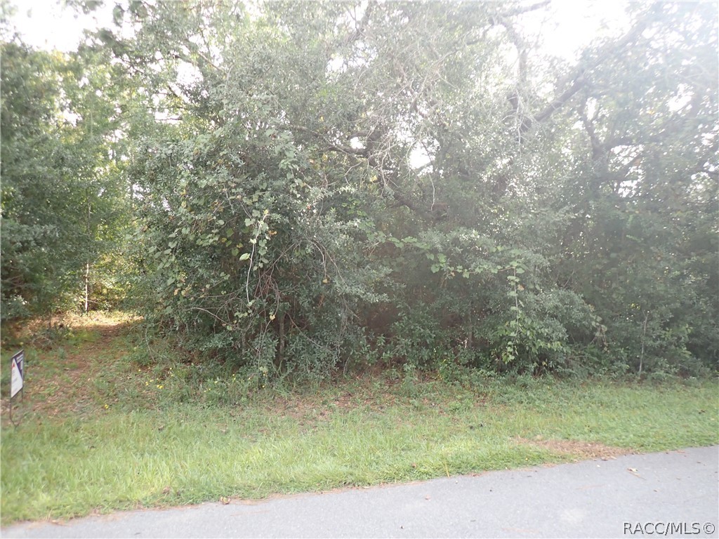 5270 W Shaker Place, Lecanto, FL 34461