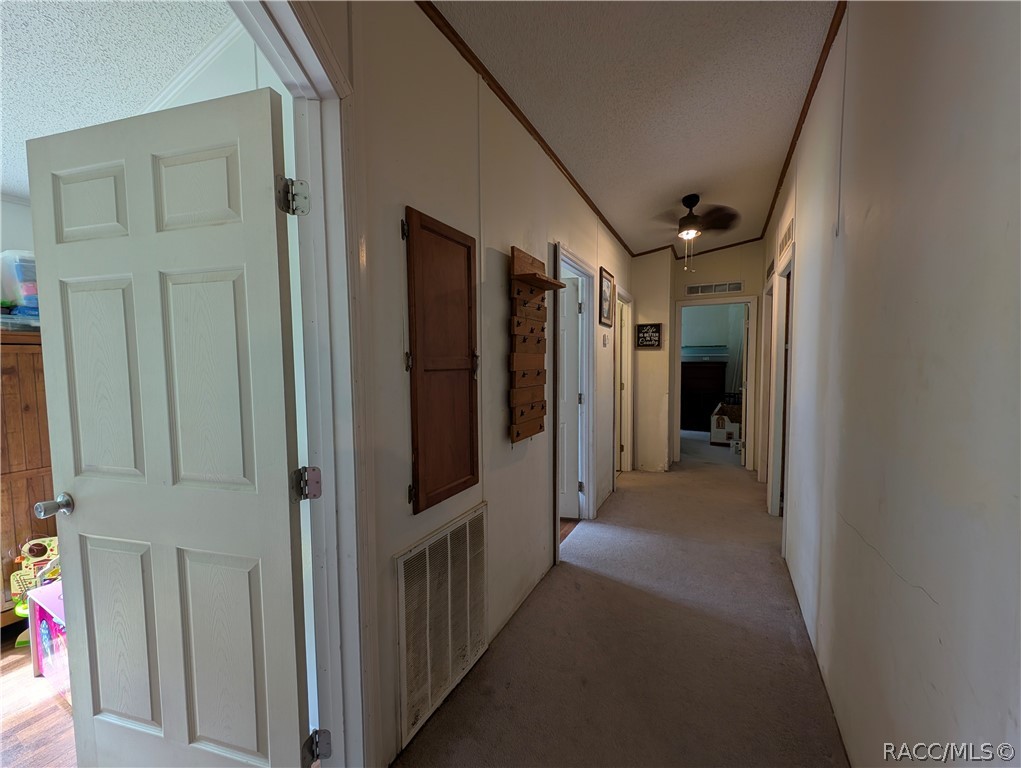 6202 W NIELSEN Court, Homosassa, FL 34446