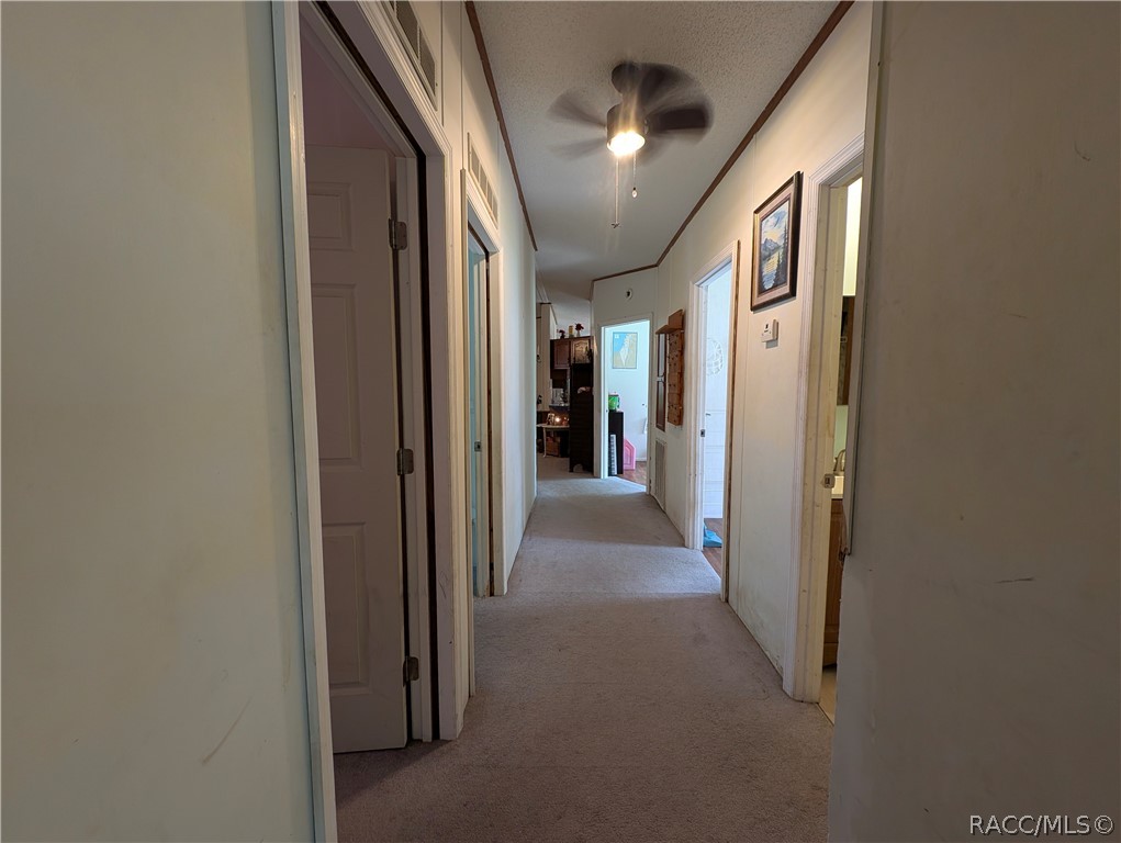 6202 W NIELSEN Court, Homosassa, FL 34446