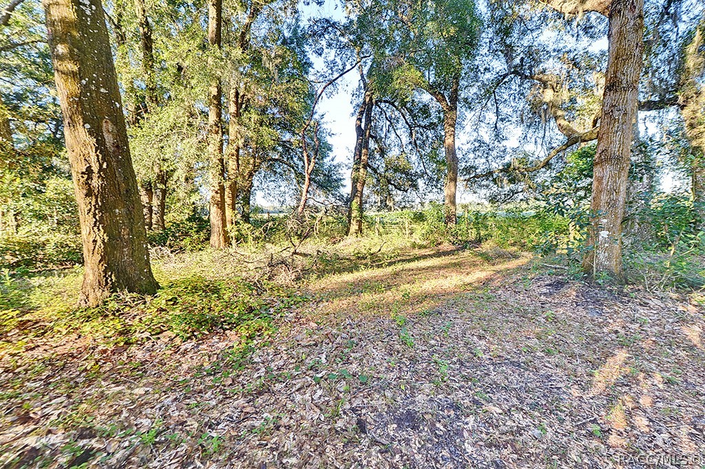 7090 S Florida Avenue, Floral City, FL 34436
