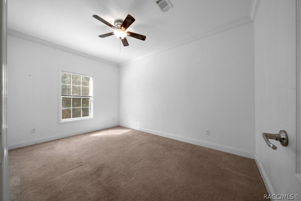 4204 W Donali Court, Homosassa, FL 34446