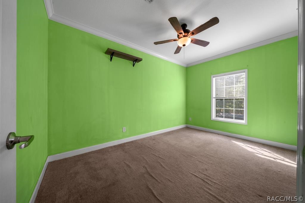 4204 W Donali Court, Homosassa, FL 34446