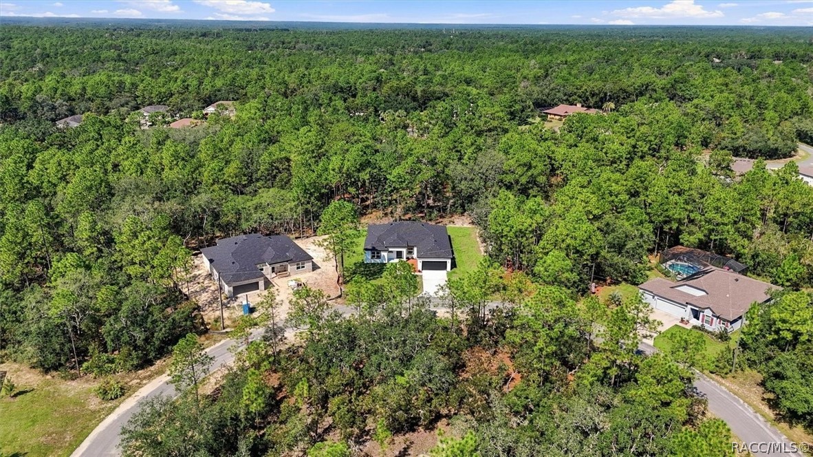 12 Apple Court, Homosassa, FL 34446