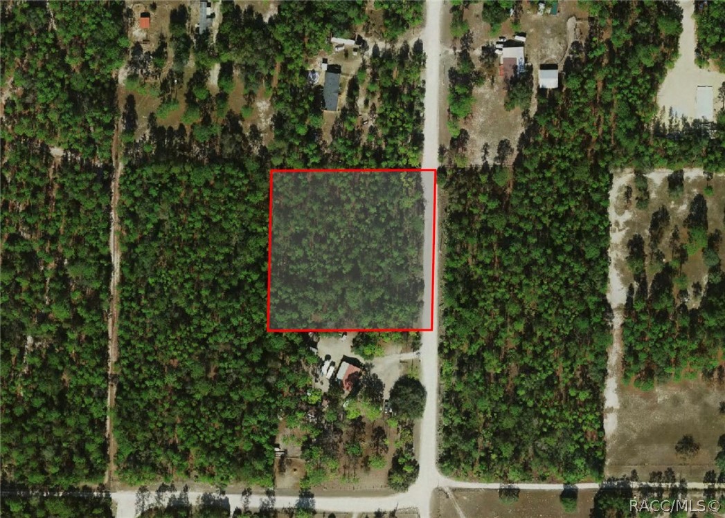 6098 N Velveteen Point, Dunnellon, FL 34433