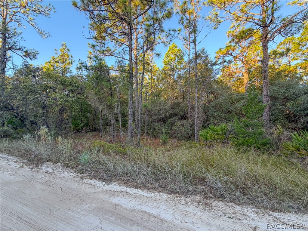 6098 N Velveteen Point, Dunnellon, FL 34433
