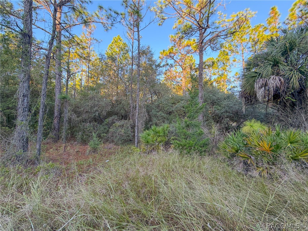 6098 N Velveteen Point, Dunnellon, FL 34433