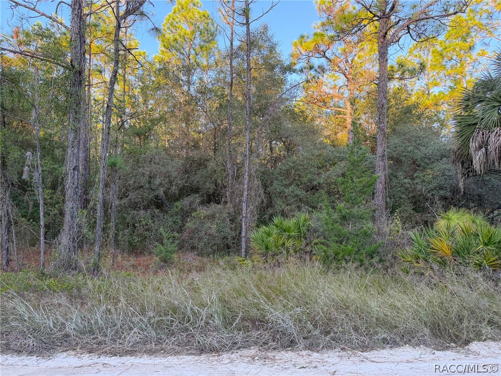 6098 N Velveteen Point, Dunnellon, FL 34433