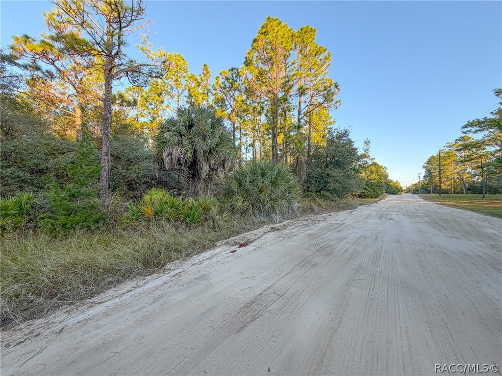 6098 N Velveteen Point, Dunnellon, FL 34433