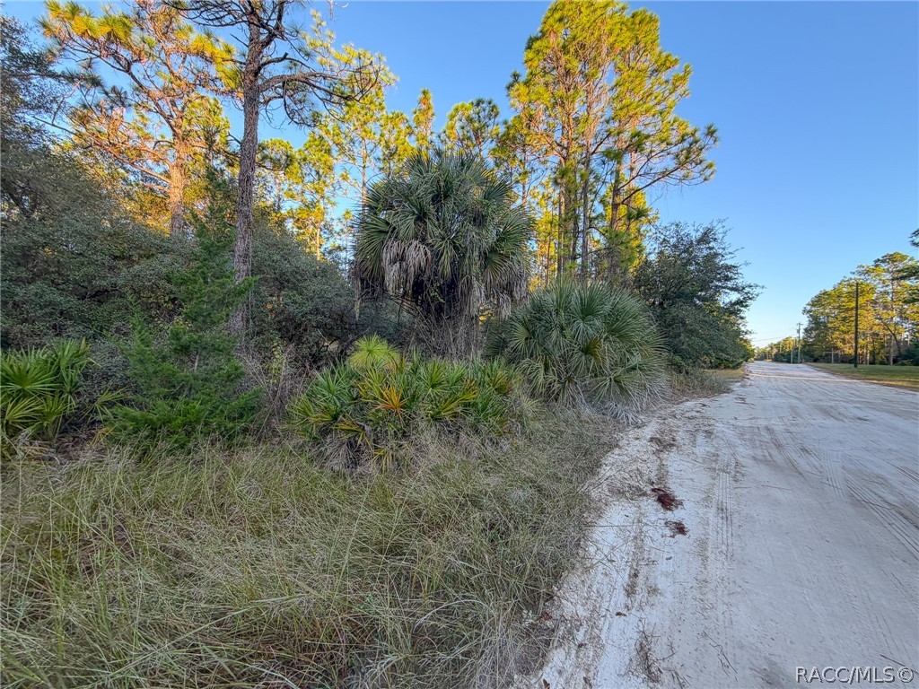 6098 N Velveteen Point, Dunnellon, FL 34433