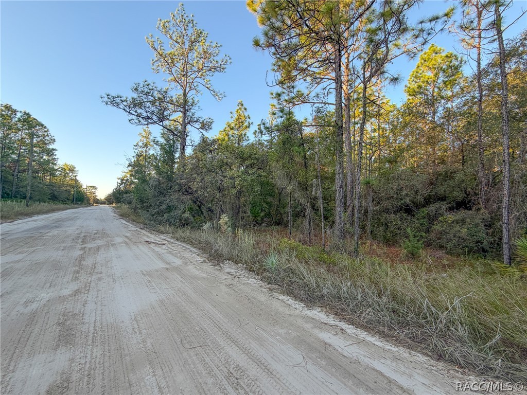 6098 N Velveteen Point, Dunnellon, FL 34433