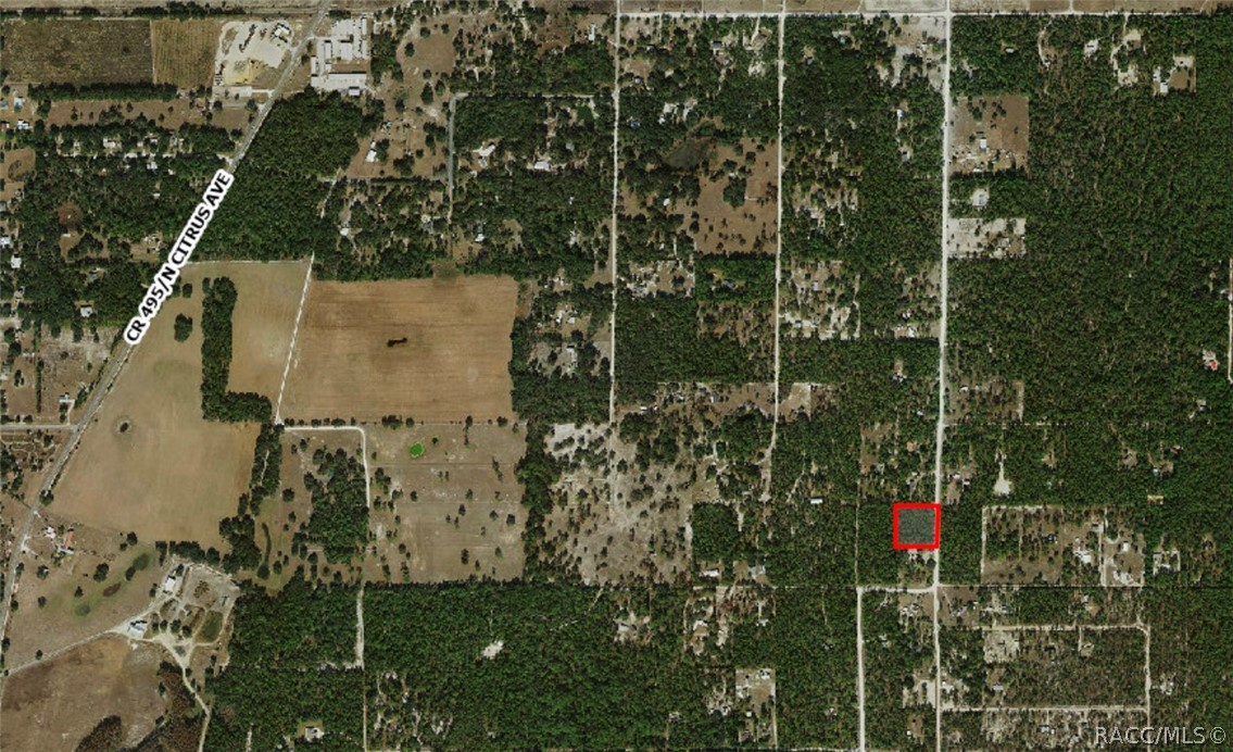 6098 N Velveteen Point, Dunnellon, FL 34433