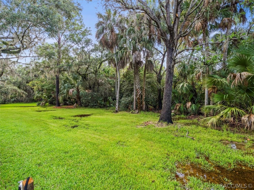 11815 W Waterway Drive, Homosassa, FL 34448