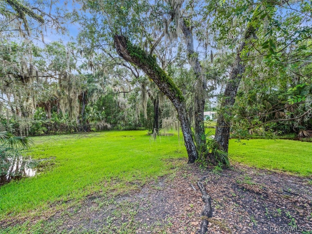 11815 W Waterway Drive, Homosassa, FL 34448