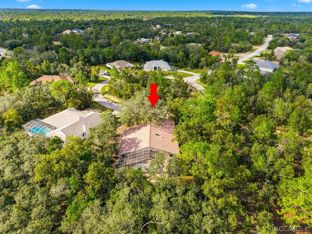 18 Dahlia Court S, Homosassa, FL 34446