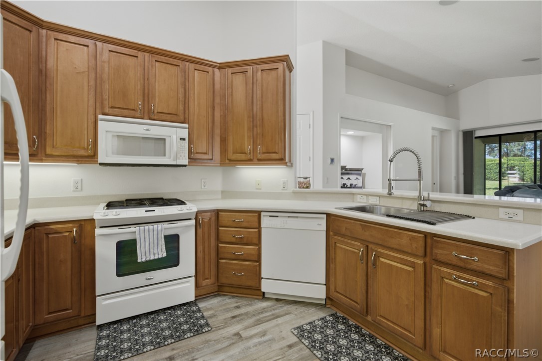 1591 W Laurel Glen Path, Hernando, FL 34442