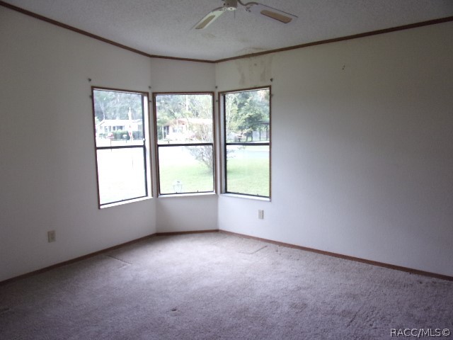 8451 N Cedar Elm Way, Dunnellon, FL 34433