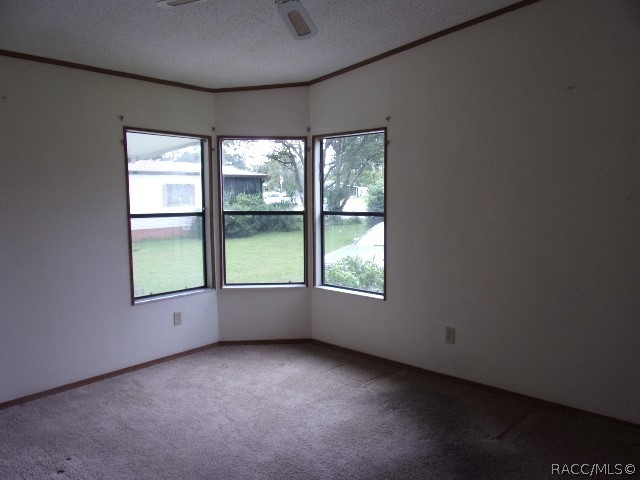 8451 N Cedar Elm Way, Dunnellon, FL 34433