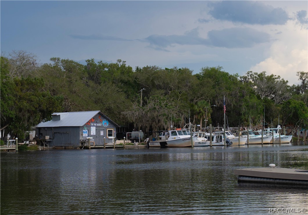 11579 W Rosa Court, Homosassa, FL 34448