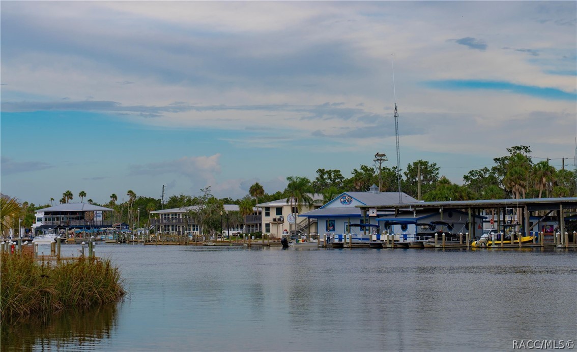 11579 W Rosa Court, Homosassa, FL 34448