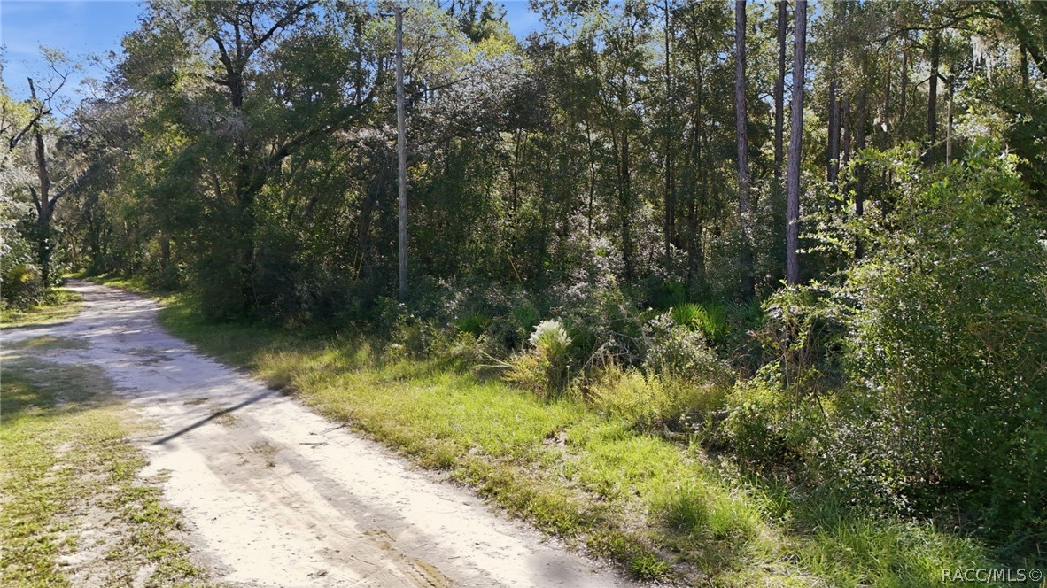 9592 W Pomelo Lane, Crystal River, FL 34428