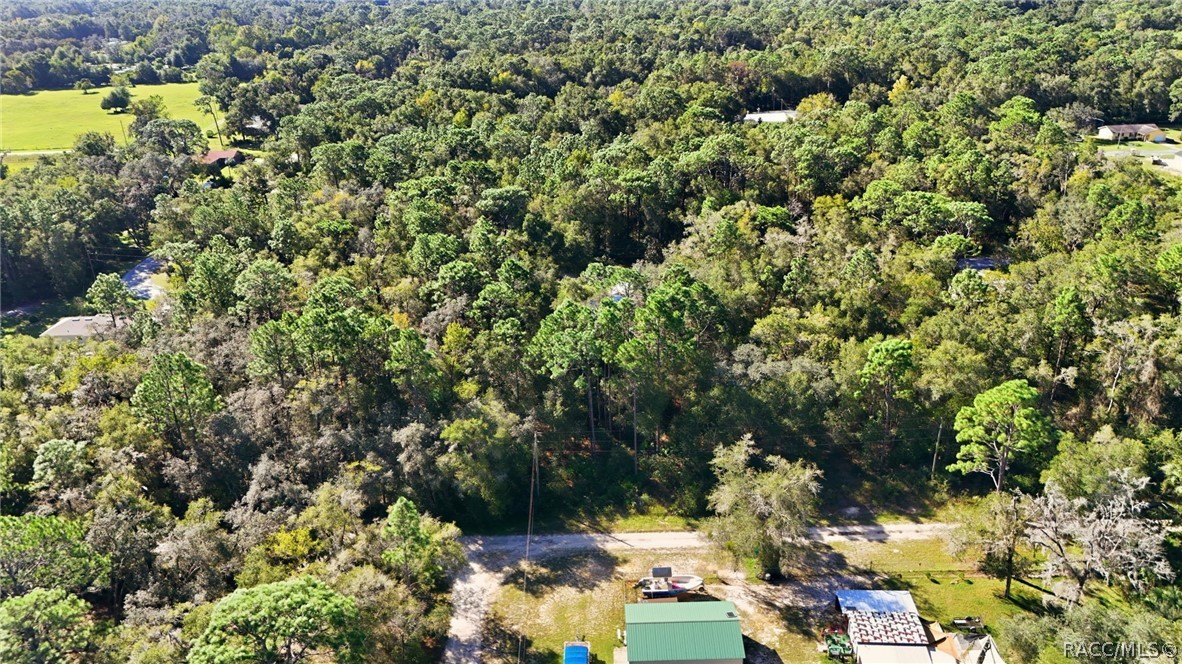 9592 W Pomelo Lane, Crystal River, FL 34428