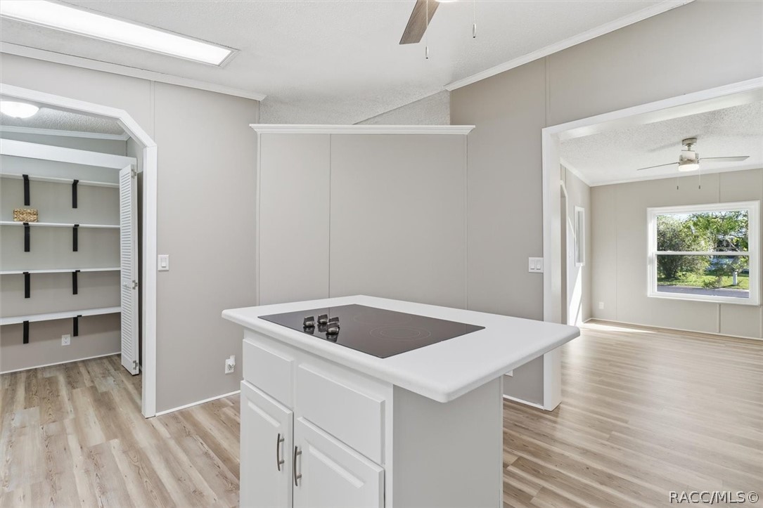 7899 W Fostoria Drive, Dunnellon, FL 34433