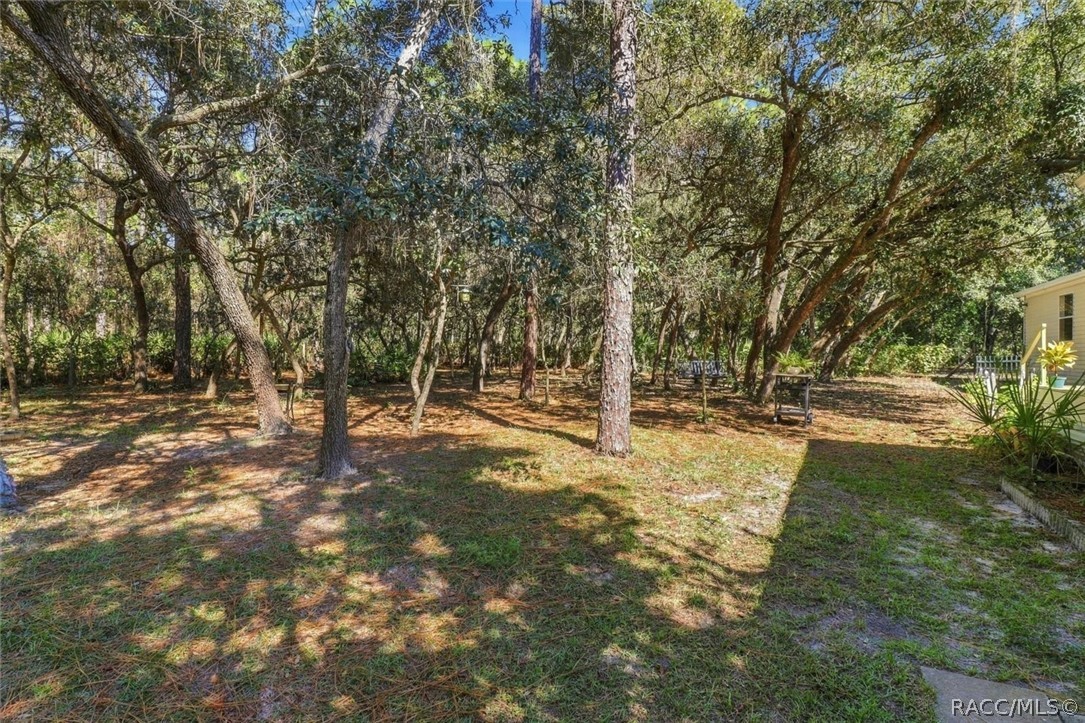 5739 W Holiday Street, Homosassa, FL 34446