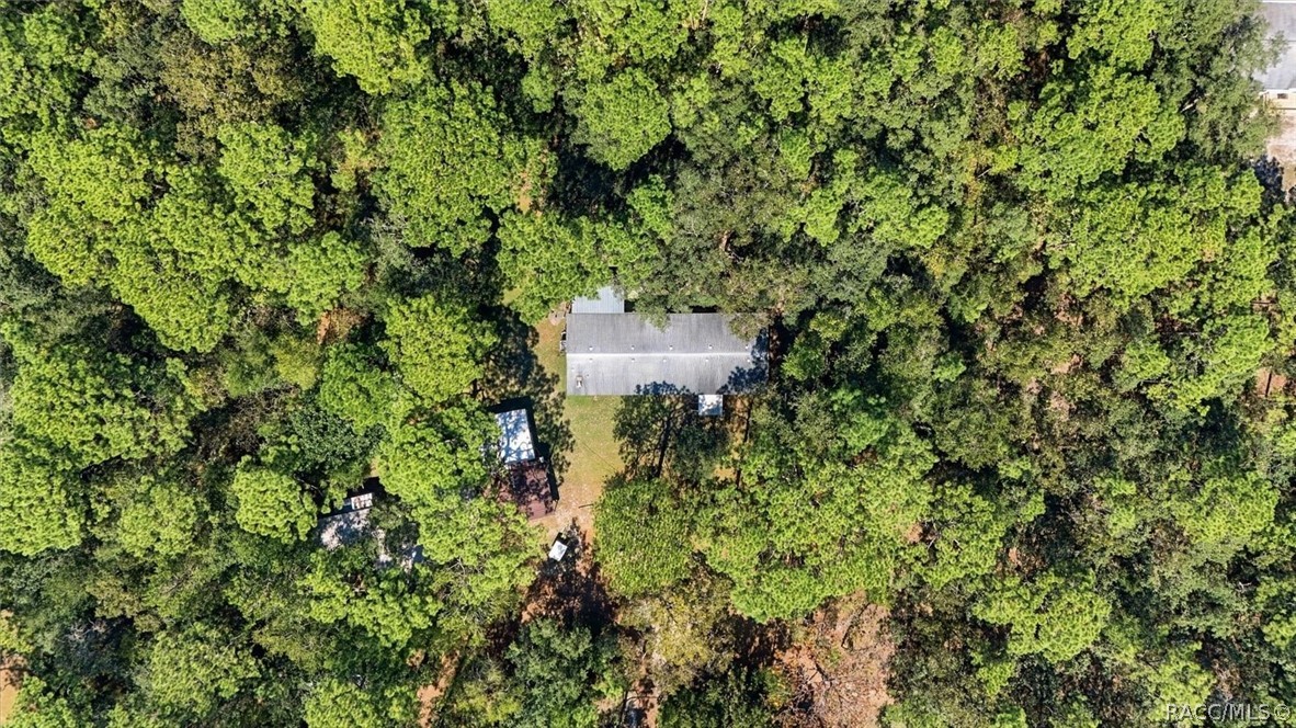 5739 W Holiday Street, Homosassa, FL 34446
