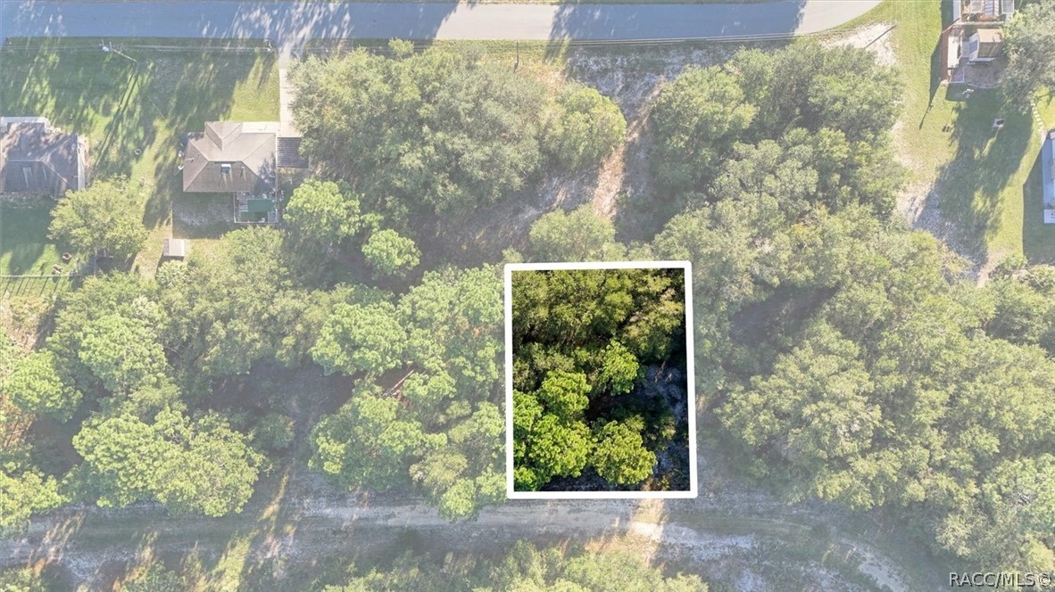 8591 N San Filippo Loop, Crystal River, FL 34428