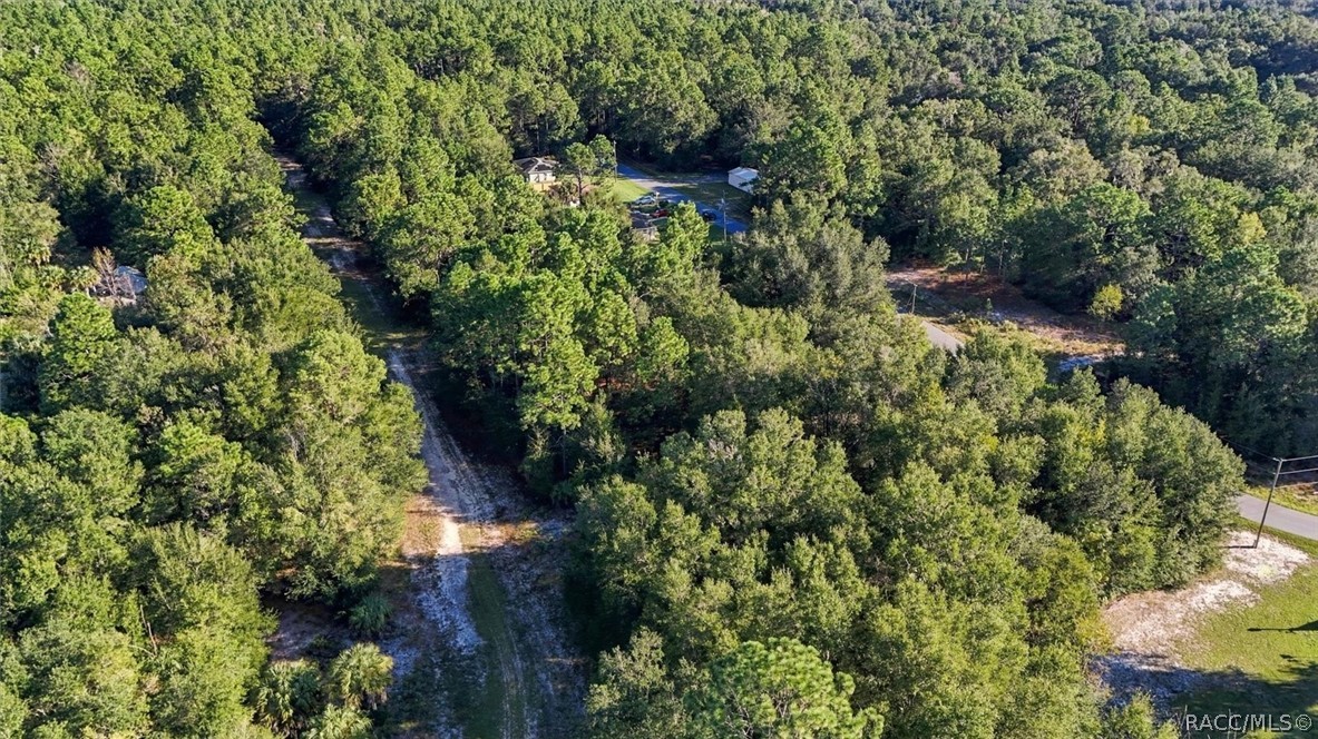 8591 N San Filippo Loop, Crystal River, FL 34428