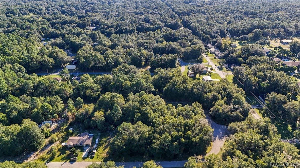 8591 N San Filippo Loop, Crystal River, FL 34428