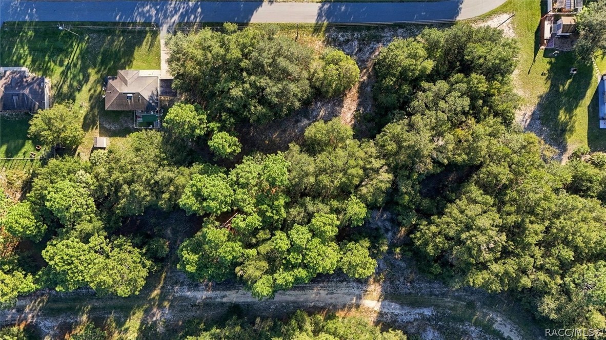 8591 N San Filippo Loop, Crystal River, FL 34428