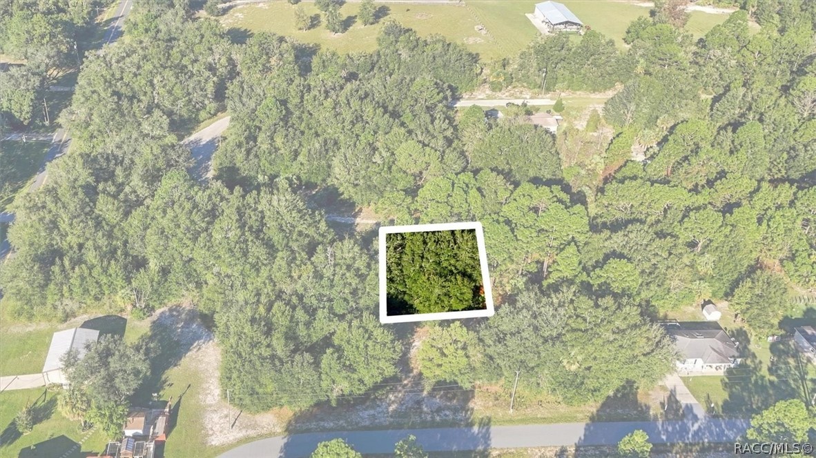 8591 N San Filippo Loop, Crystal River, FL 34428