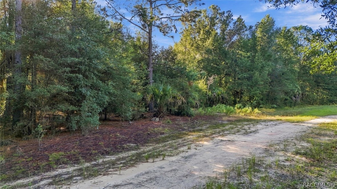 8591 N San Filippo Loop, Crystal River, FL 34428
