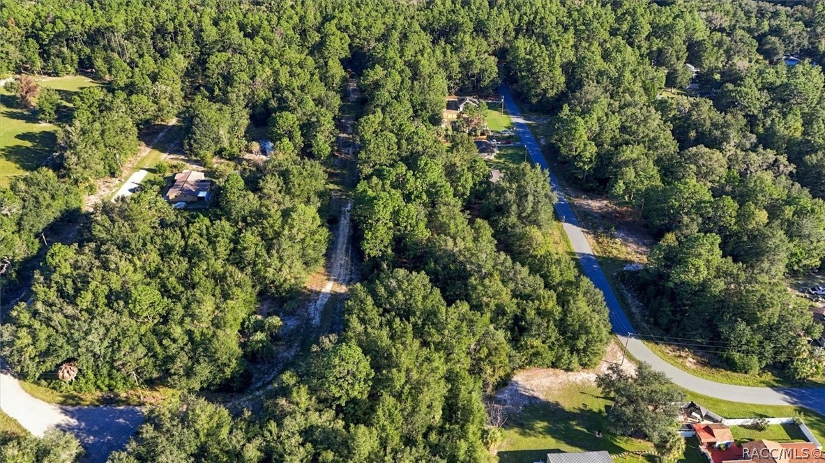 8591 N San Filippo Loop, Crystal River, FL 34428