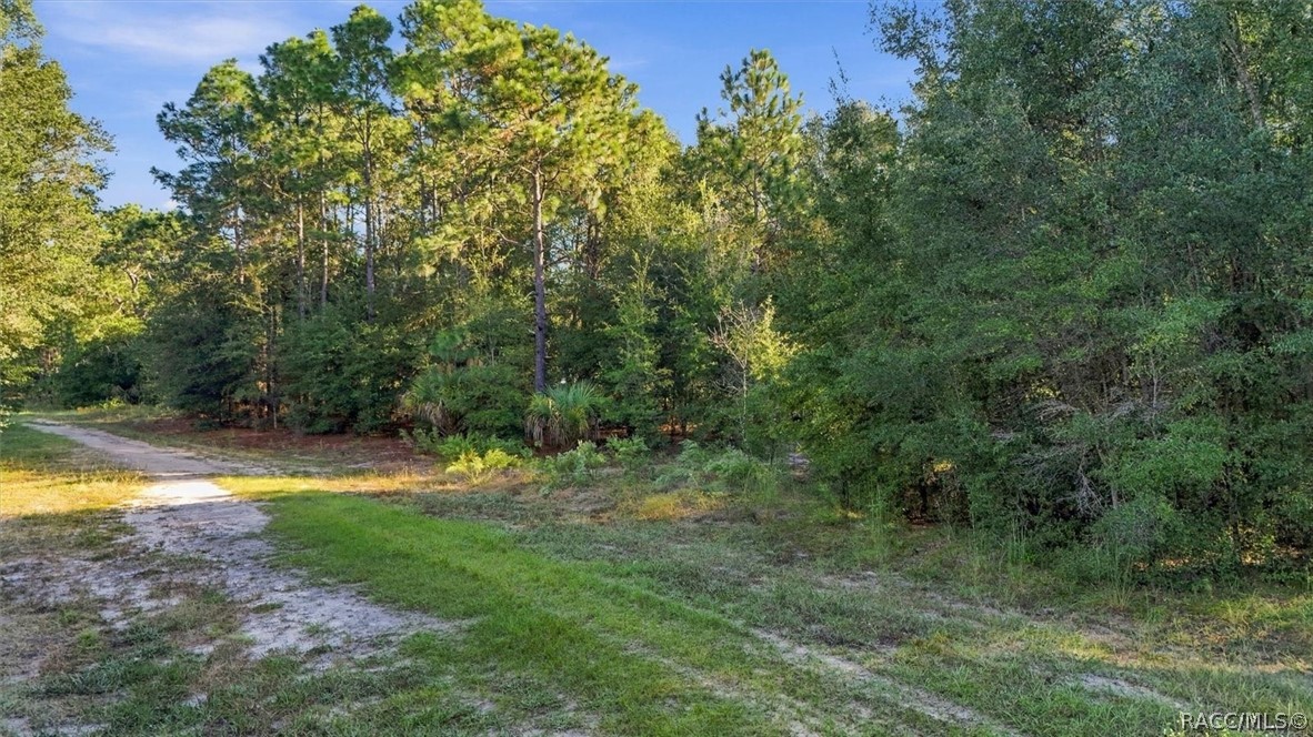8591 N San Filippo Loop, Crystal River, FL 34428