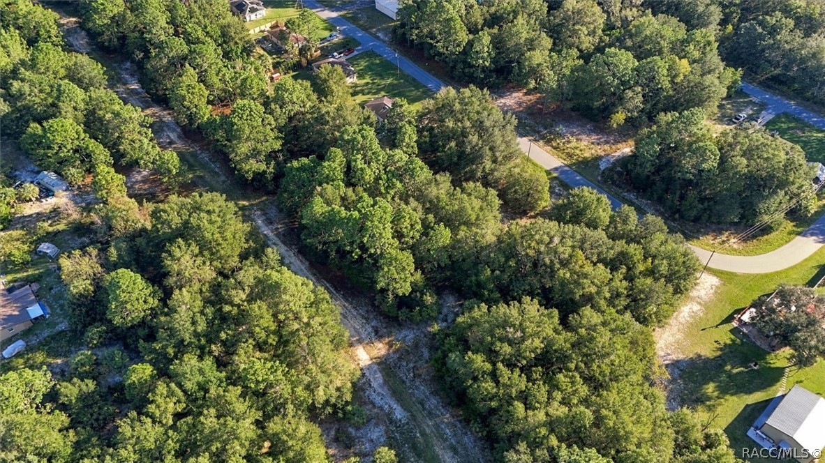 8591 N San Filippo Loop, Crystal River, FL 34428