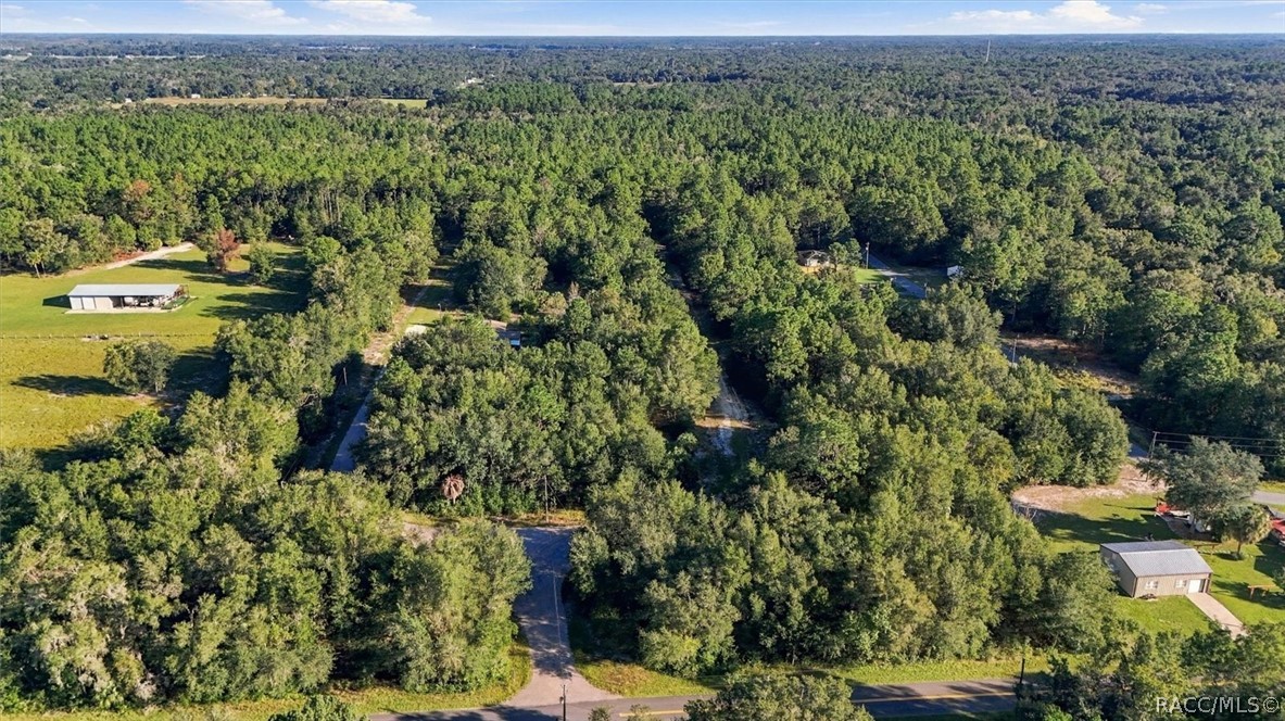 8583 N San Filippo Loop, Crystal River, FL 34428