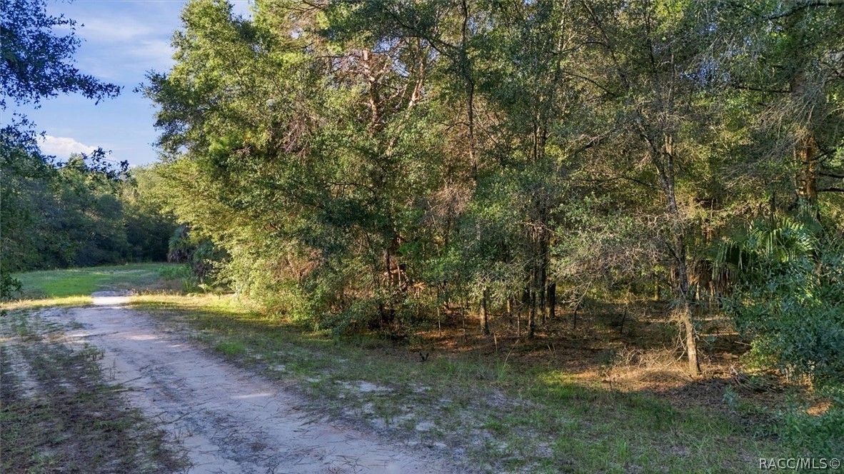 8583 N San Filippo Loop, Crystal River, FL 34428